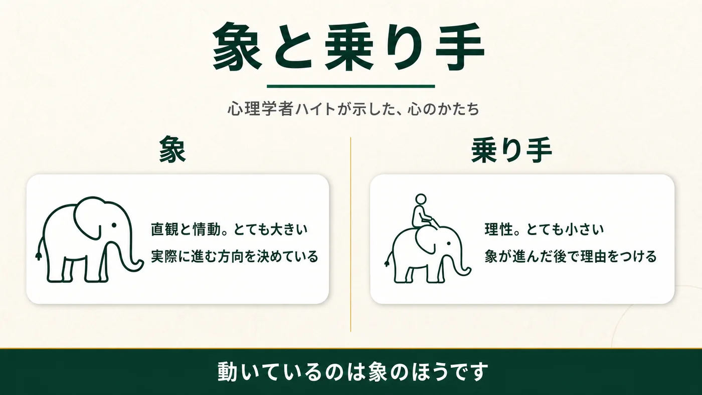 心理学者ハイトが示した心のかたち。象は直観と情動でとても大きく、実際に進む方向を決めている。乗り手は理性でとても小さく、象が進んだ後で理由をつける。動いているのは象のほう。
